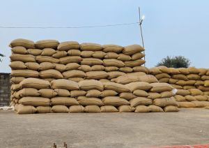  रायपुर जिले में आज हुई लगभग 1 लाख 4 हजार 921.60 क्विंटल धान खरीदी