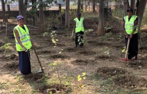  वुमेन फॉर ट्री योजना : अमृत मिशन के अंतर्गत महिलाओं की भागीदारी से हरियाली और आत्मनिर्भरता की ओर बड़ा कदम