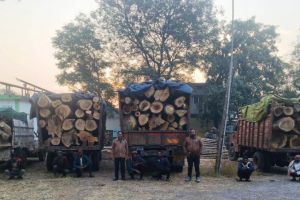  प्रतिबंधित काष्ठों का अवैध परिवहन पकड़ा गया, वन विभाग ने की जप्ती