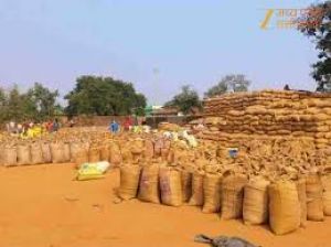 धान खरीदी में आई तेजी, सरल प्रक्रिया से किसान हो रहें लाभांवित