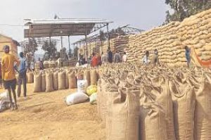   सोसायटियों में प्रतिदिन की धान खरीदी लिमिट व टोकन समस्या दूर करने  ज्ञापन 