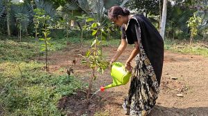 उद्यानों में साफ-सफाई एवं पानी सिंचाई कार्य जारी 