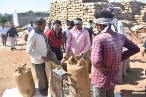  धान खरीदी केंद्रों का कलेक्टर ने किया आकस्मिक निरीक्षण