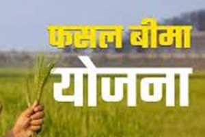  रबी उद्यानिकी फसलों के लिए मौसम आधारित फसल बीमा योजना लागू