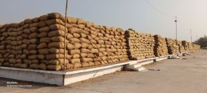 14 केन्द्रों में खरीदे गये धान का तीन चौथाई हिस्सा परिवहन का बाट जोह रहा, टेकारी में बोहनी भी नहीं 