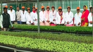  उद्यानिकी प्रशिक्षण से सशक्त होंगे किसान और युवा