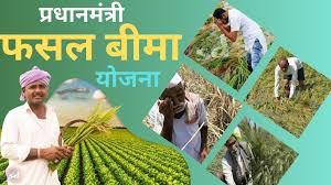 प्रधानमंत्री फसल बीमा योजना....31 दिसम्बर तक जमा होंगे प्रीमियम