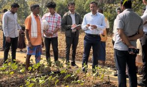  जैविक कृषि ग्राम झोडि़याबाड़म,बिंजाम,समलूर एवं कतुलनार का कलेक्टर ने किया दौरा
