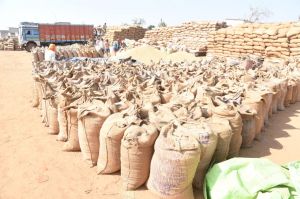 अब तक 2,57,796.52 मे. टन धान की हुई खरीदी