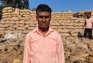  समर्थन मूल्य एवं कृषक उन्नति योजना से किसान आर्थिक रूप से हो रहे मजबूत