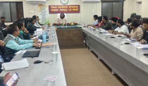  शत-प्रतिशत एएनसी पंजीयन एवं हाई रिस्क वाली गर्भवती महिलाओं को करें चिन्हांकित&ndash; कलेक्टर  