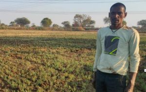 चना की फसल लेने से कम लागत में अधिक फायदा ले रहे किसान चना की फसल लेने से कम लागत में अधिक फायदा ले रहे किसान