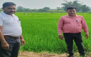 वैज्ञानिक खेती से भूखनलाल सोंचे की आर्थिक स्थिति में आया बड़ा सुधार वैज्ञानिक खेती से भूखनलाल सोंचे की आर्थिक स्थिति में आया बड़ा सुधार