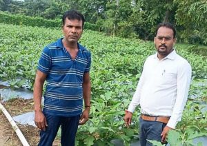   राष्ट्रीय कृषि विकास योजना से बदली किसान की किस्मत