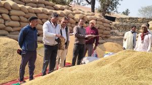 धान खरीदी केन्द्र डौण्डी में धान खरीदी का कार्य सुचारू रूप से जारी 
