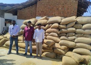  अवैध धान परिवहन एवं भंडारण पर सख्त कार्रवाई, कुल 772 कट्टा धान जप्त