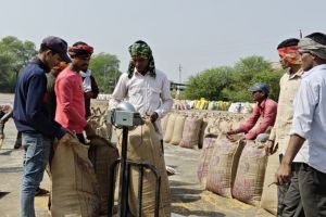  बलौदाबाजार जिले में अब तक 90 प्रतिशत किसानों ने बेचा धान