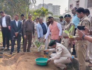  हाइड्रोपोनिक्स से टेरेस गार्डन को मिल रही नई दिशा