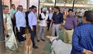  केन्द्रीय पर्यवेक्षकों ने छत्तीसगढ़ में पशुधन योजनाओं का लिया फीडबैक