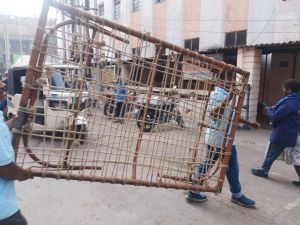 टीम प्रहरी द्वारा की जा रही निरंतर कार्रवाई टीम प्रहरी द्वारा की जा रही निरंतर कार्रवाई