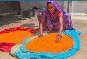   हर्बल गुलाल से और भी रंगीली होगी होली