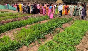  बस्तर के नवाचार देख उत्साहित हुईं बिलासपुर की दीदियाँ