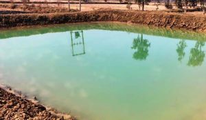 राष्ट्रीय ग्रामीण रोजगार गारंटी योजना: मजबूत हुई आजीविका की राह राष्ट्रीय ग्रामीण रोजगार गारंटी योजना: मजबूत हुई आजीविका की राह