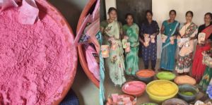 राष्ट्रीय ग्रामीण आजीविका मिशन से महिलाओं को मिली नई पहचान राष्ट्रीय ग्रामीण आजीविका मिशन से महिलाओं को मिली नई पहचान