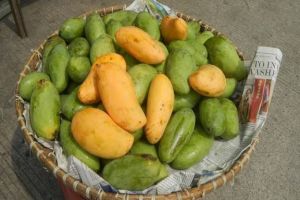 10 मार्च को होगी आम फलों की नीलामी