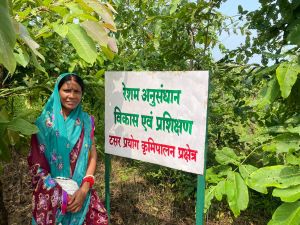 हौसलों को मिली उड़ान, ग्रामीण महिलाओं की आत्मनिर्भरता की ओर बढ़ते कदम