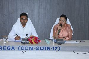  कलेक्टर ने पंचायत एवं ग्रामीण विकास विकास विभाग के कार्यो की समीक्षा की