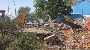  बलरामपुर में 2 एकड़ से अधिक भूमि में अफीम की अवैध खेती पर प्रशासन-पुलिस की संयुक्त कार्रवाई