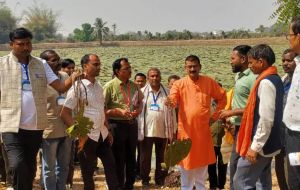  मध्यप्रदेश के किसानों का ग्राम लिंगाडीह आरंग में मखाना खेती भ्रमण एवं प्रशिक्षण संपन्न .                        