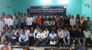 अग्निवीर भर्ती को लेकर व्यायाम शिक्षकों की बैठक आयोजित अग्निवीर भर्ती को लेकर व्यायाम शिक्षकों की बैठक आयोजित