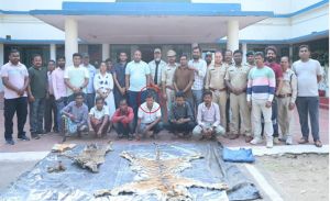   बाघ और तेंदुए के शिकार में शामिल डिप्टी रेंजर सहित 9 आरोपी गिरफ्तार