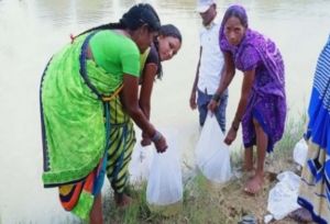  मत्स्य पालन विभाग द्वारा दिए गए तकनीकी ज्ञान, प्रशिक्षण और योजनाओं से मिली सफलता