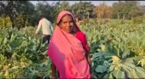  बाड़ी से आत्मनिर्भरता तक का सफर