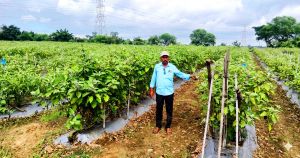 नई सोच और तकनीक ने बनाया सफल किसान, अब लहलहा रही है खुशहाली