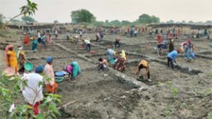  रोजगार देने के मामले में कबीरधाम प्रदेश में प्रथम