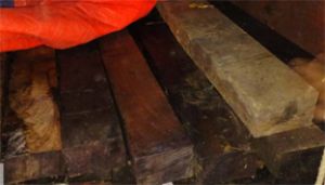  लकड़ी के अवैध परिवहन पर कार्रवाई, पिकअप वाहन जब्त