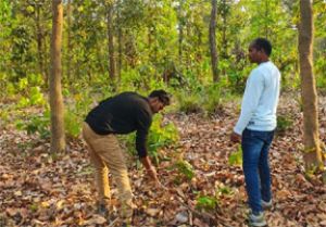  बाघ गणना का कार्य सफलतापूर्वक संपन्न