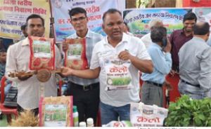  लैलूंगा की पहचान बना &lsquo;केलो&rsquo; जैविक जंवाफूल चावल