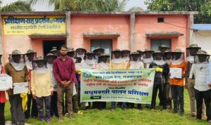 ग्रामीण एवं आदिवासी अंचल के कृषकों को मधुमक्खी पालन हेतु दिया गया प्रशिक्षण