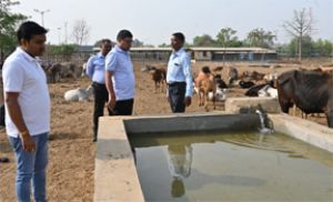  आयुक्त ने गौठान व उद्यान का किया निरीक्षण, व्यवस्था दुरूस्त करने के दिए निर्देश