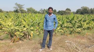  राष्ट्रीय बागवानी मिशन से बदली किसान की तकदीर 