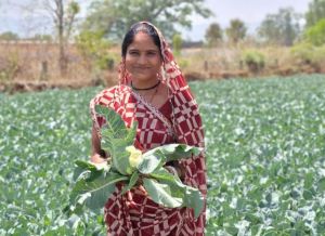   साय सरकार की पहल से सशक्त हुई महिलाएं : हमेश्वरी राठौर बनीं &ldquo;लखपति दीदी&rdquo;