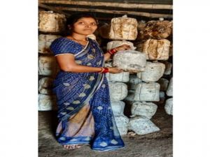 गृहिणी से उद्यमी बनीं तुलेश्वरी, मशरूम उत्पादन से रची सफलता की नई कहानी