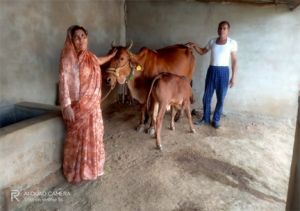 एक हजार की सहायता से आत्मनिर्भरता तक, उषा ने लिखी सफलता की नई कहानी