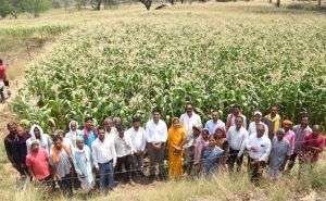 जनभागीदारी, जल संरक्षण एवं फसल चक्र परिवर्तन के सफल क्रियान्वयन से ग्राम घुपसाल बना मिसाल