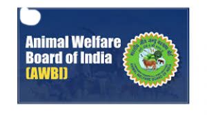  भीषण गर्मी में पशुओं की देखभाल के लिए विशेष सावधानी जरूरी